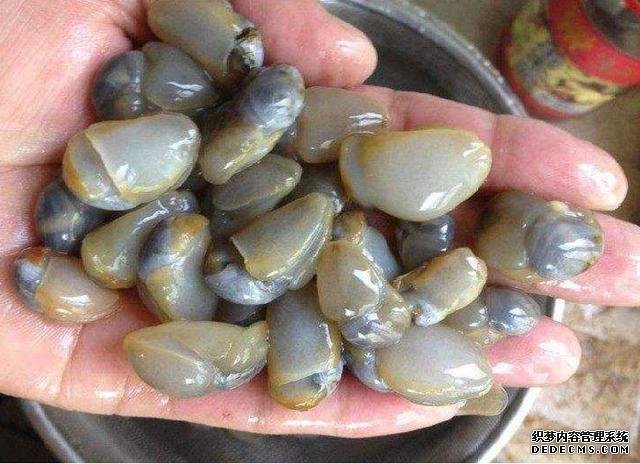 它比“小龍蝦”還受寵，味道鮮美，曾賣5元一斤，現(xiàn)想吃都買不起