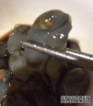 它比“小龍蝦”還受寵，味道鮮美，曾賣5元一斤，現(xiàn)想吃都買不起