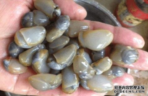 樣子很丑的4種海鮮，味道卻好到讓人“上癮”, 可惜識貨的人不多