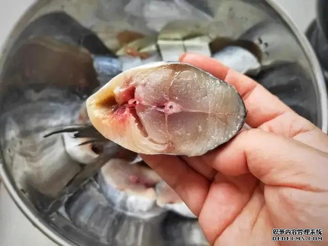 遇上這魚從不手軟，一買就是10斤，肉嫩刺少營養(yǎng)高，每次都吃不夠