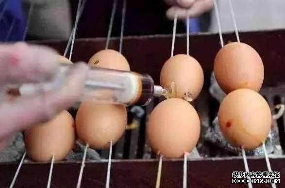 下崗大叔賣“天價(jià)”雞蛋，十元1串，食客：吃完一口還想第二口