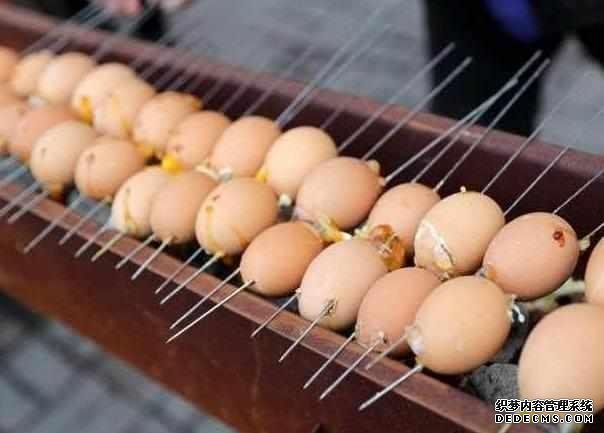 下崗大叔賣“天價(jià)”雞蛋，十元1串，食客：吃完一口還想第二口