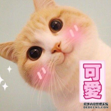 宅在家里也能做的勾魂小吃，每一樣都讓你口水直流
