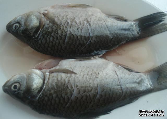 鯽魚(yú)我只服這樣做，稍微腌制風(fēng)干，做好一次可以吃上半年