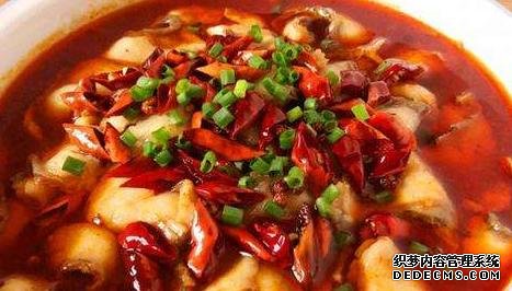 家常菜才是最解饞的，簡單燜一燜，汁鮮肉香，看她饞到舔盤