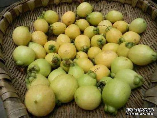 它被稱為“維C之王”，果肉甜而多汁，30元一斤，只有少數(shù)人吃過