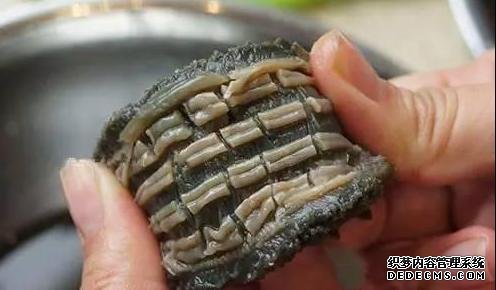 海參還能這樣吃：詳細(xì)泡發(fā)方法和做法步驟，滋補(bǔ)養(yǎng)顏，強(qiáng)身抗衰老