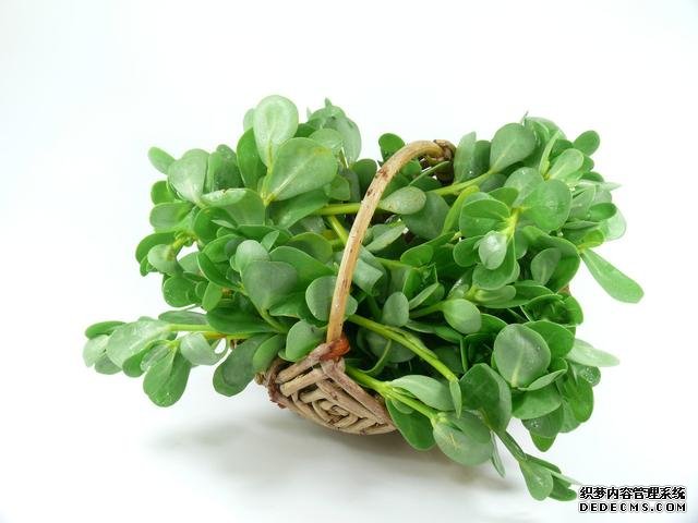 春分時節(jié)這菜要抓緊吃，再晚又得等1年，路邊隨處可見，營養(yǎng)豐富