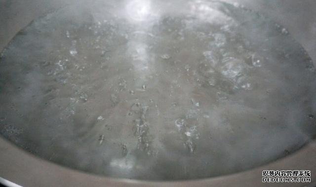 最正宗的蠔油生菜，快手簡單還減肥，2塊錢就能做一盤