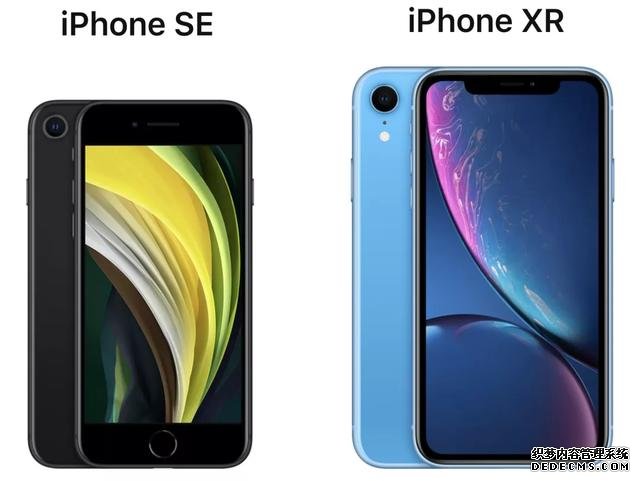 新款iPhone SE和iPhone XR怎么選？