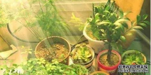 十種健康的養(yǎng)生方式?。ńㄗh永久堅持）