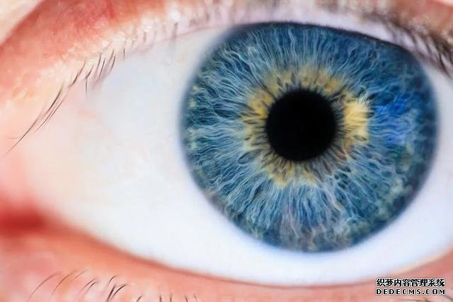 眼睛疲勞竟然會降低免疫力？是的