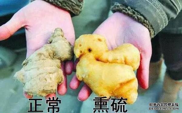 遇到這種生姜千萬(wàn)不要買(mǎi)，外表看似光滑無(wú)泥土，實(shí)則有毒無(wú)姜味