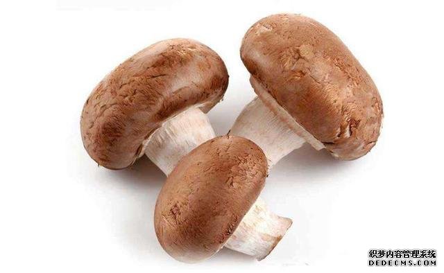 十大超強(qiáng)“刮油”食物！減肥就現(xiàn)在