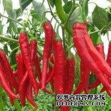 淺談夏季除濕問題