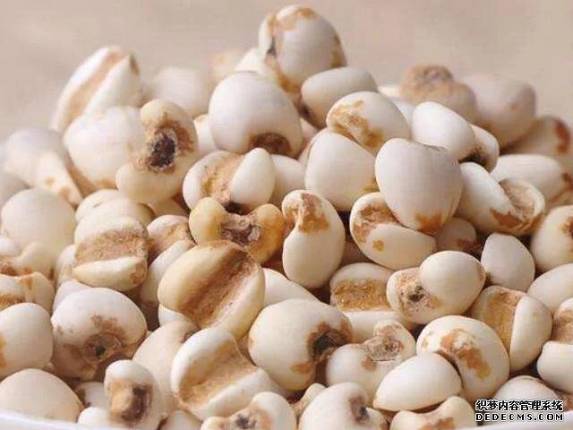 淺談夏季除濕問題