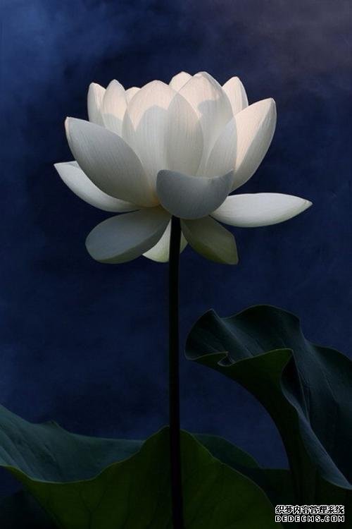 徐文兵：對(duì)于養(yǎng)生來(lái)說(shuō)，方向比方法更重要
