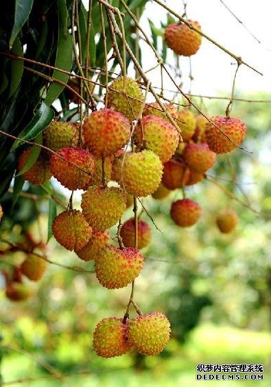 為什么一到夏天，你總是沒胃口？