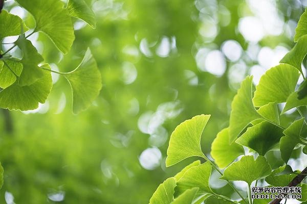 久坐、活動量小的職場人速查！這些指標不合格，很“傷心”