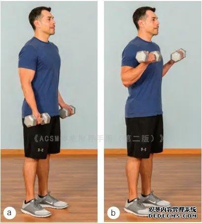 健身房10個力量訓(xùn)練動作教程，詳細(xì)講解，很適合初學(xué)者學(xué)習(xí)