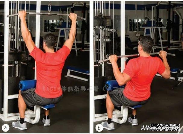 健身房10個力量訓(xùn)練動作教程，詳細(xì)講解，很適合初學(xué)者學(xué)習(xí)