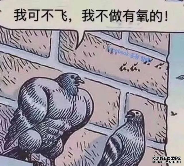 51條健身知識，看完再決定怎樣健身