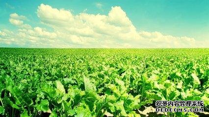 做人，心態(tài)要健康！