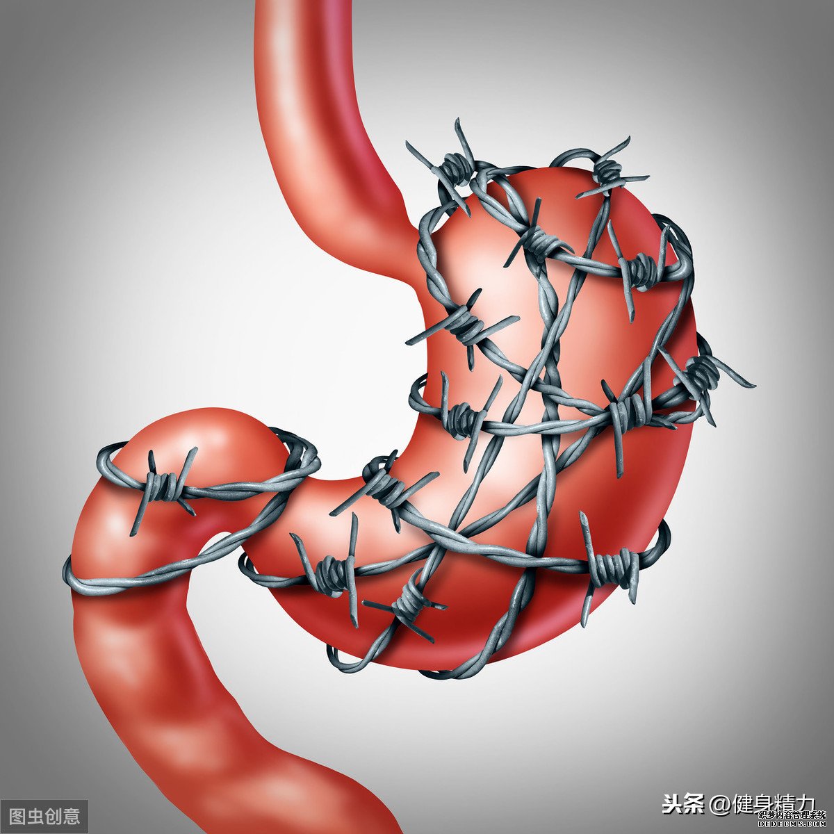 怎么做好健身飲食管理？把握好這幾點就可以