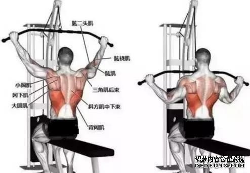 健身過(guò)程中，如何讓訓(xùn)練更高效？提高意識(shí)與肌肉的聯(lián)系，才是關(guān)鍵