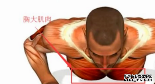 健身過(guò)程中，如何讓訓(xùn)練更高效？提高意識(shí)與肌肉的聯(lián)系，才是關(guān)鍵
