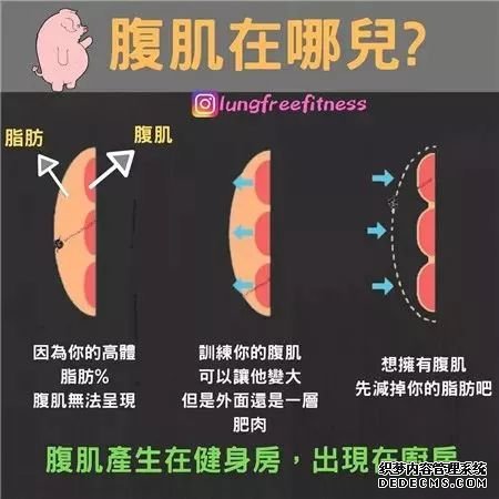 22條健身知識(shí)，認(rèn)真看完相當(dāng)于上了一節(jié)私教課