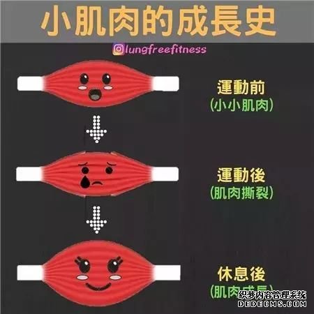 22條健身知識(shí)，認(rèn)真看完相當(dāng)于上了一節(jié)私教課