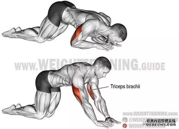 全身各部位健身動(dòng)作圖解及注意事項(xiàng)，通俗易懂，讓你健身不求人