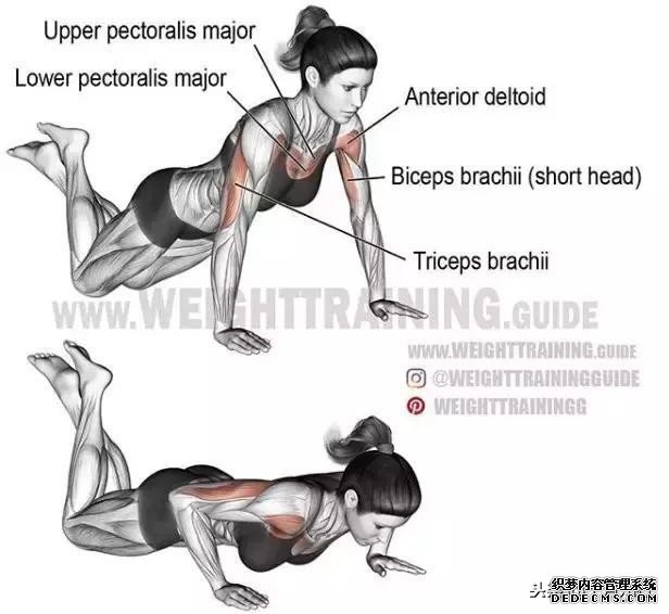 全身各部位健身動(dòng)作圖解及注意事項(xiàng)，通俗易懂，讓你健身不求人