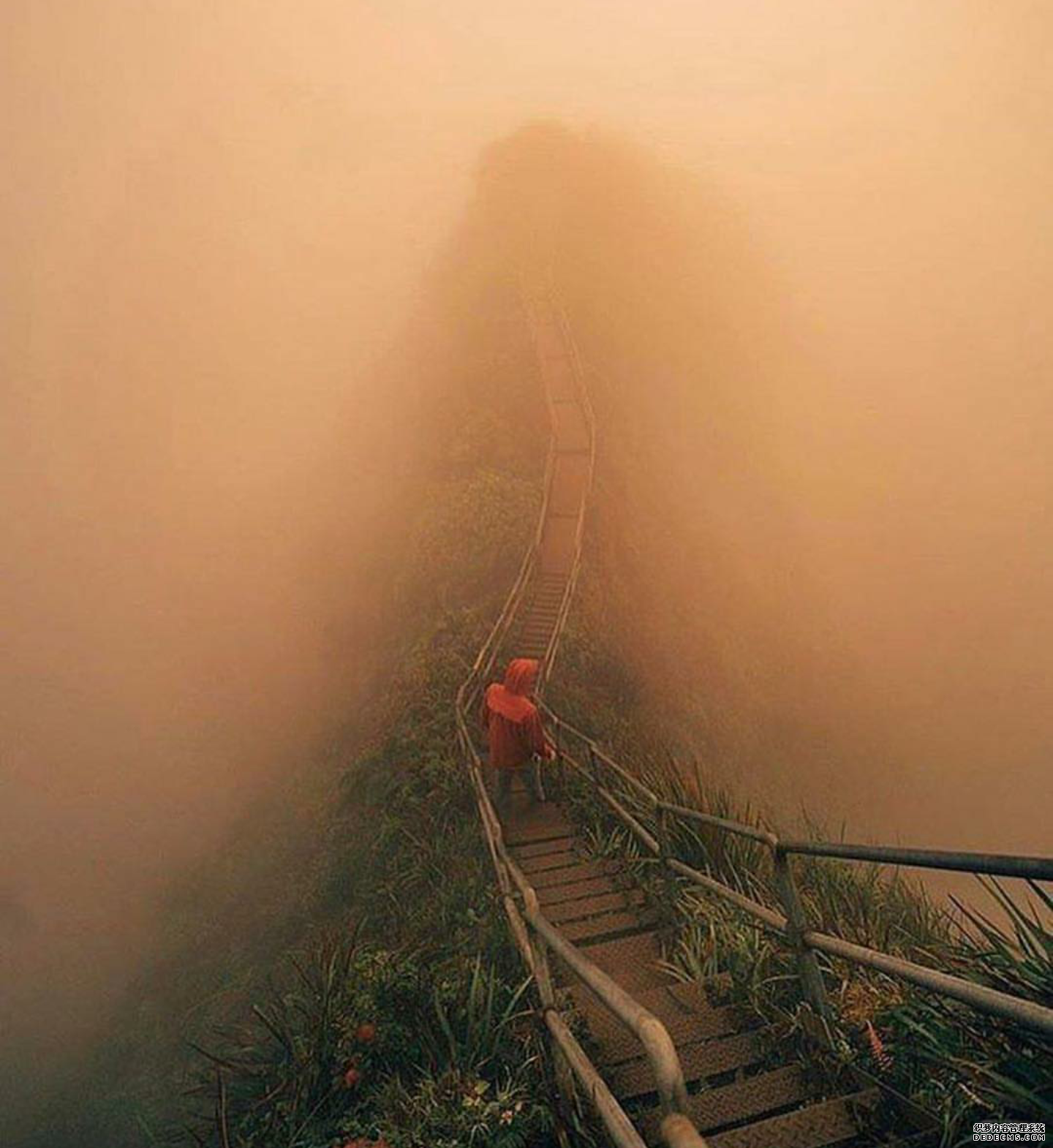 健身，心態(tài)和技術一樣重要