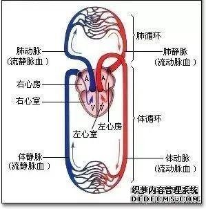 后疫情時代的自我重構(gòu):養(yǎng)心3.0-4D保健