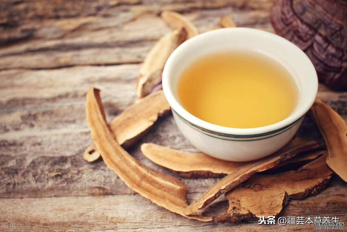 身體虛弱能長期和鹿角靈芝草泡水嗎？鹿角靈芝有啥禁忌？