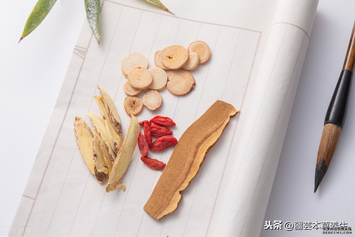 身體虛弱能長期和鹿角靈芝草泡水嗎？鹿角靈芝有啥禁忌？