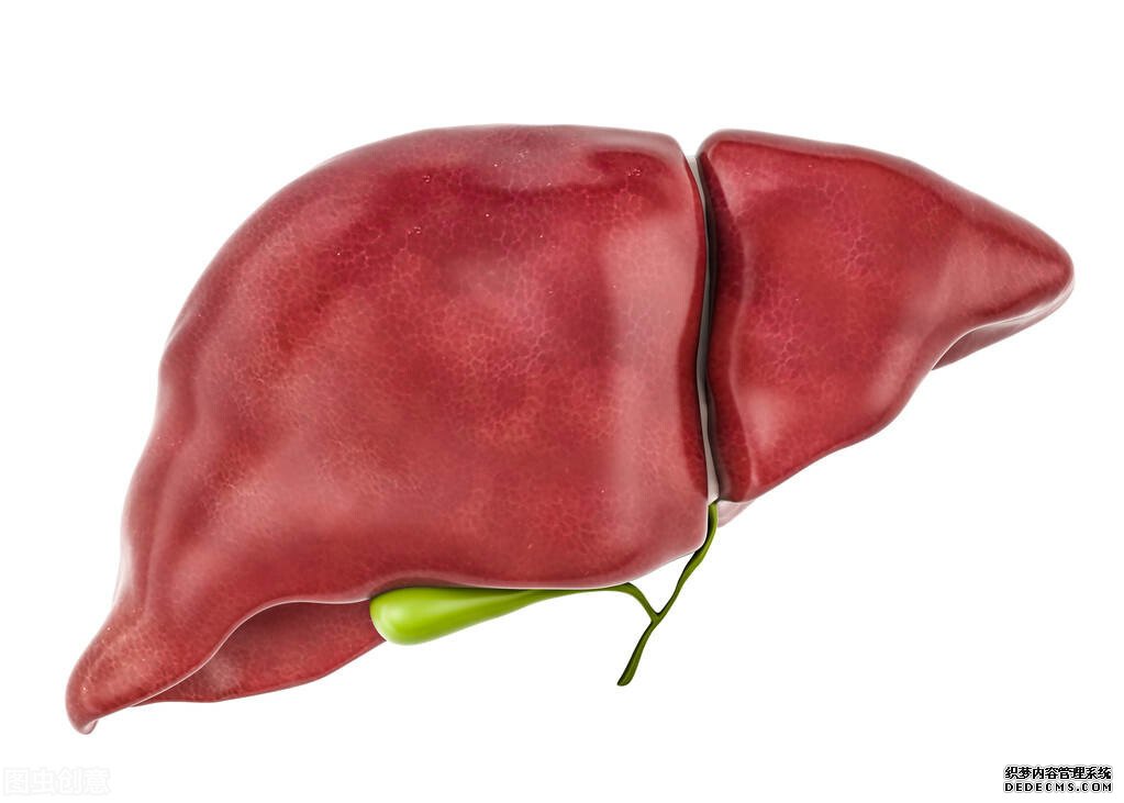 肝硬化TIPS術后可否進食動物蛋白嗎？