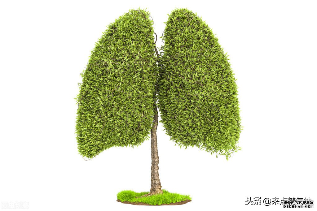 每天3次！幫助鼻子防止寒氣侵犯體內(nèi)。鼻炎或鼻子不靈敏的注意