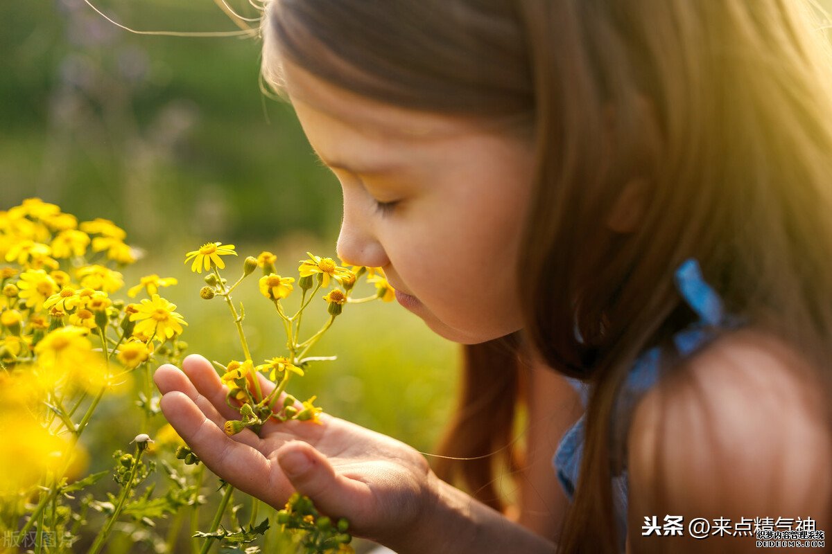 每天3次！幫助鼻子防止寒氣侵犯體內(nèi)。鼻炎或鼻子不靈敏的注意