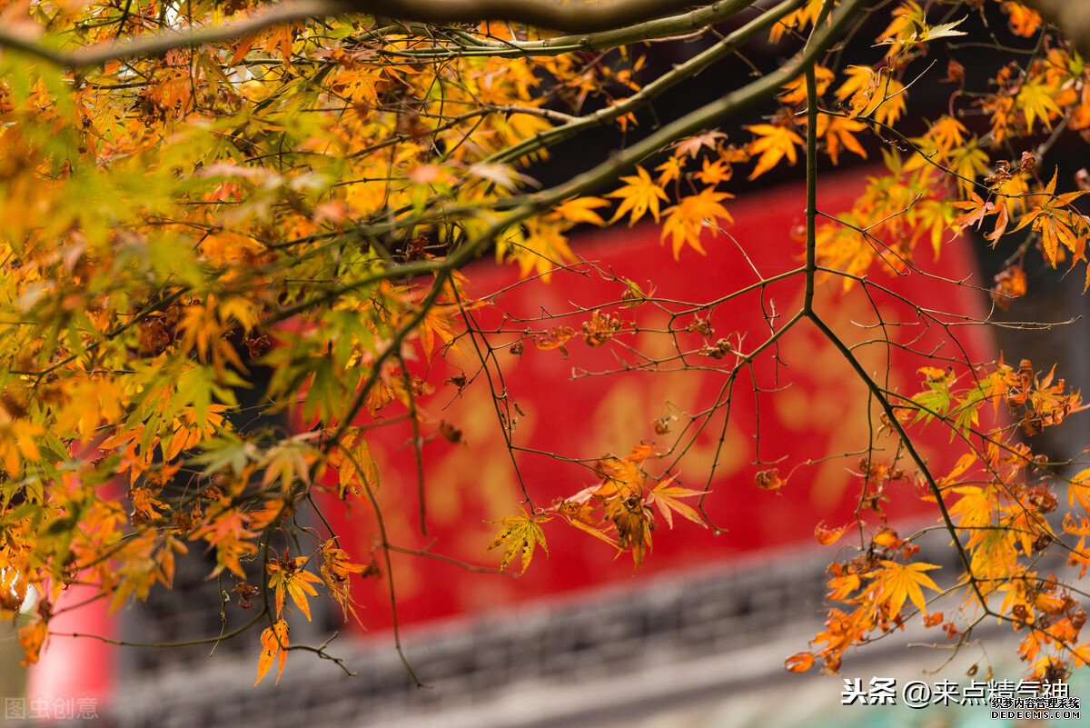 每天3次！幫助鼻子防止寒氣侵犯體內(nèi)。鼻炎或鼻子不靈敏的注意
