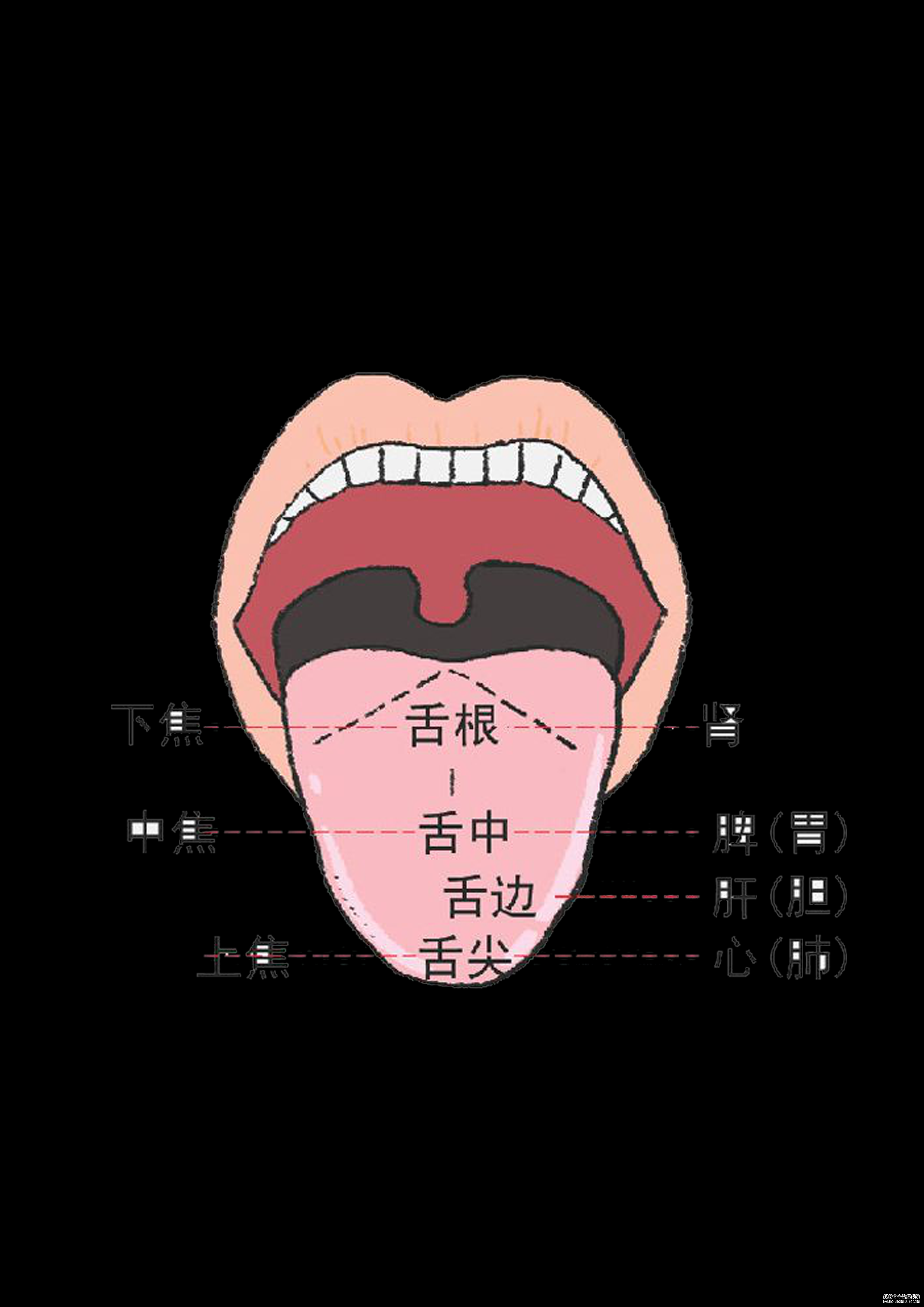 通過(guò)舌診，窺探身體的秘密