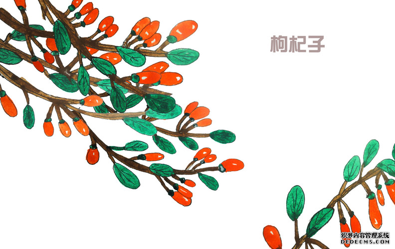 吃枸杞可以長(zhǎng)壽，但是您吃對(duì)了嗎？