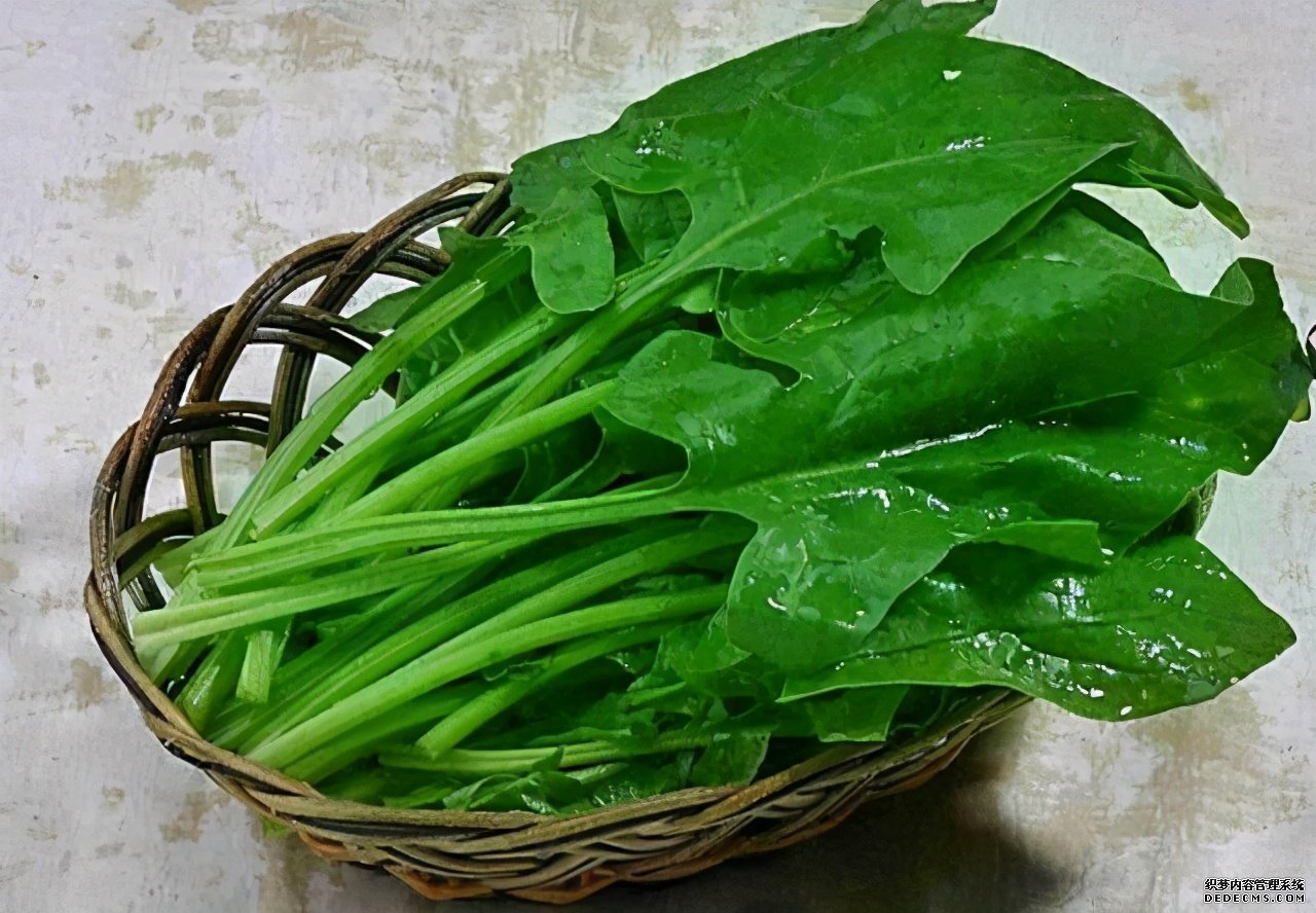 眼睛常常出現(xiàn)“酸痛”？多吃這些“食物”，遠離疲勞與干澀