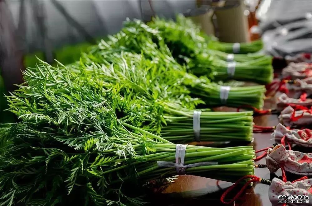 血管斑塊可以消除嗎？做到這四點，血管會被洗干凈