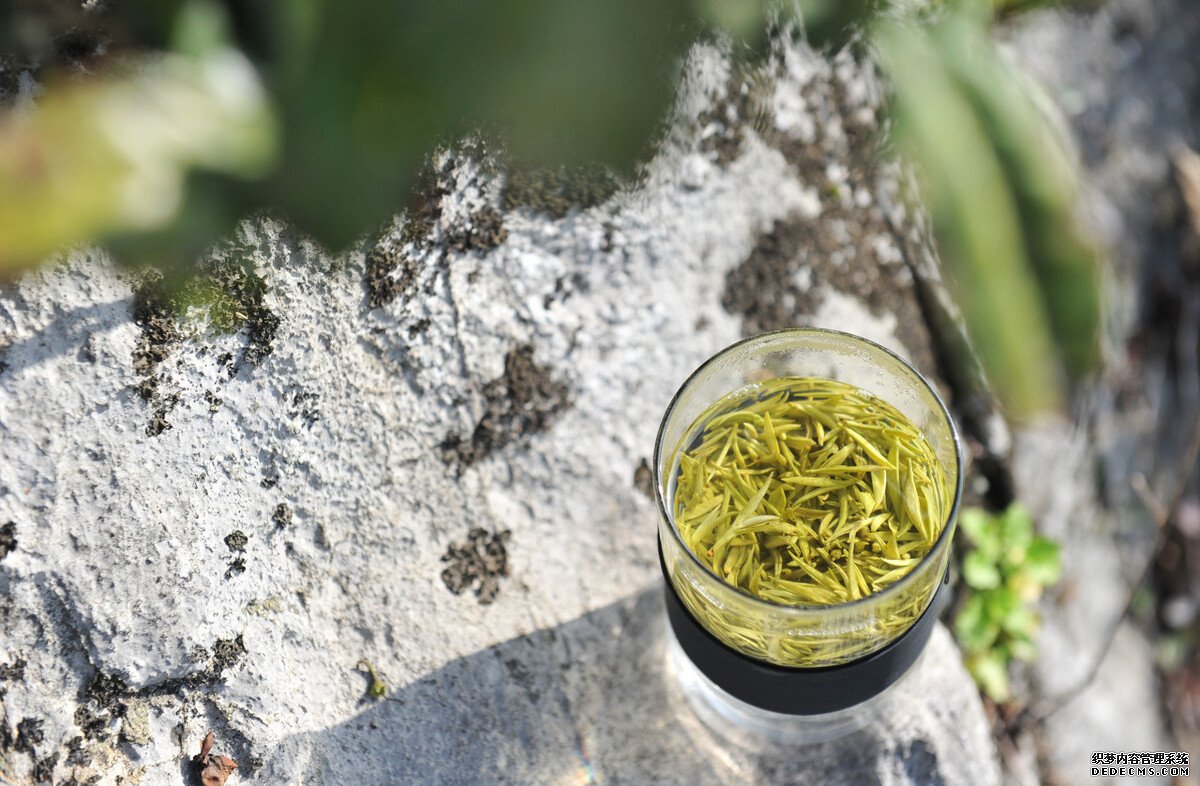 茶葉是酸性還是堿性？
