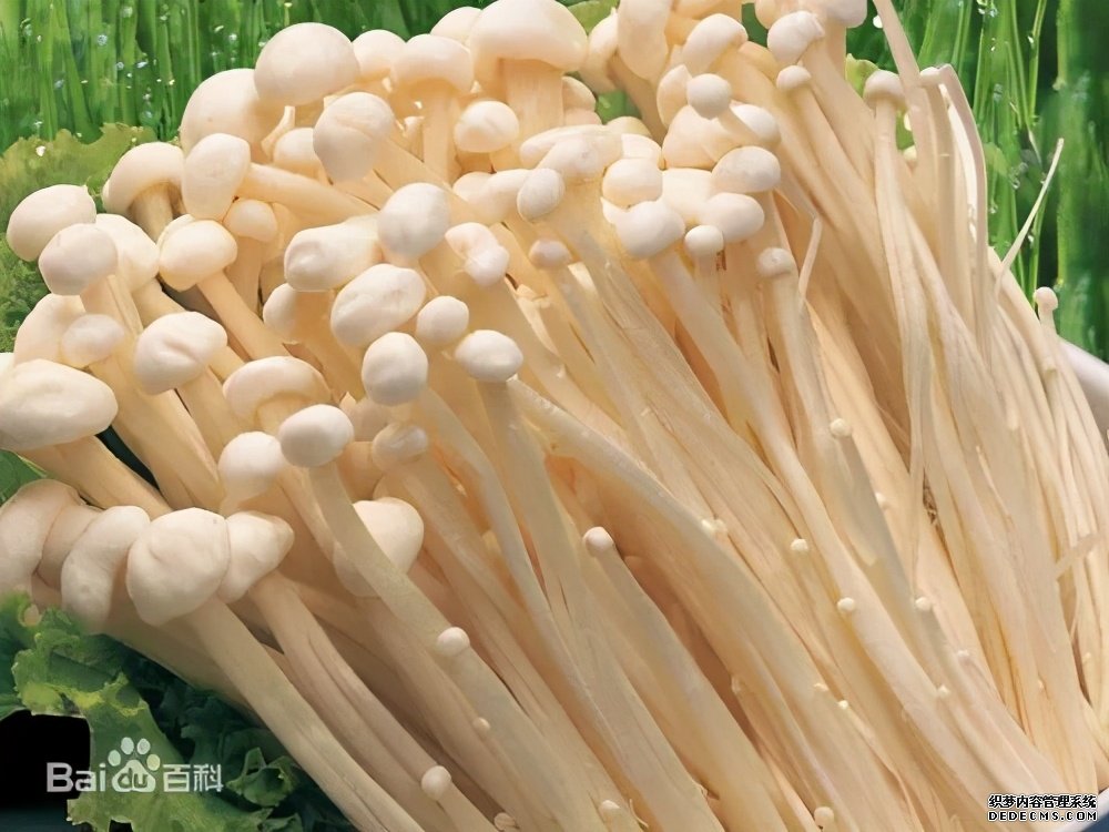 這些食物吃起來有風險，一定要當心。